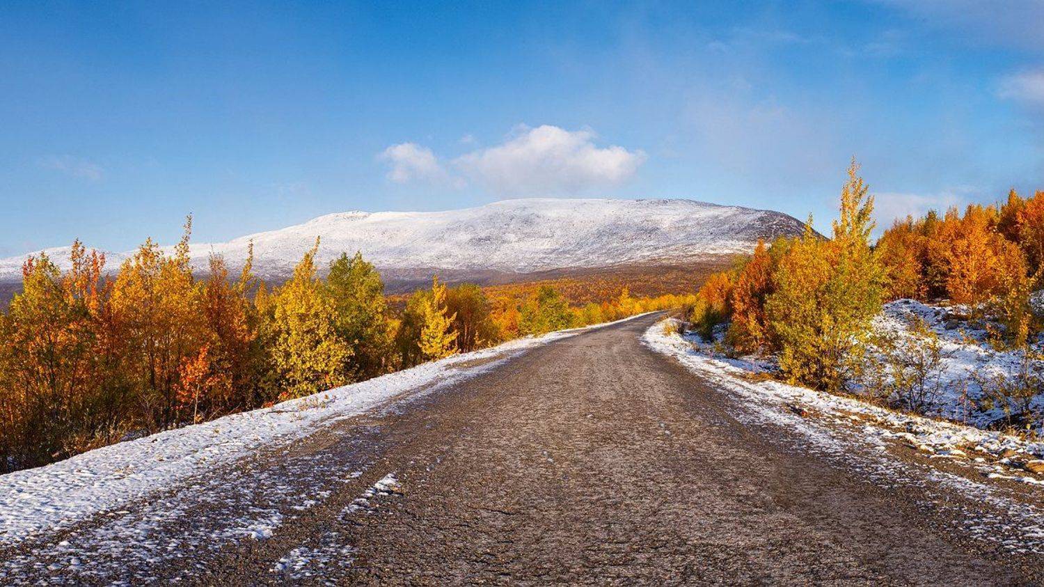 Зима спешит. Автор: Матвеев Игорь осень,горы,снег,жёлтые,листья,дорога,, Матвеев Игорь