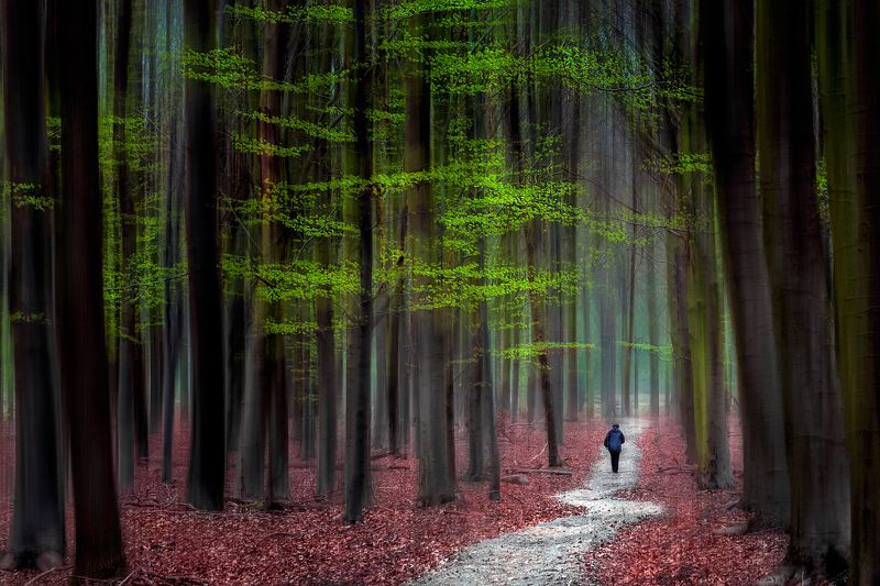 Ранняя веснаphoto preview