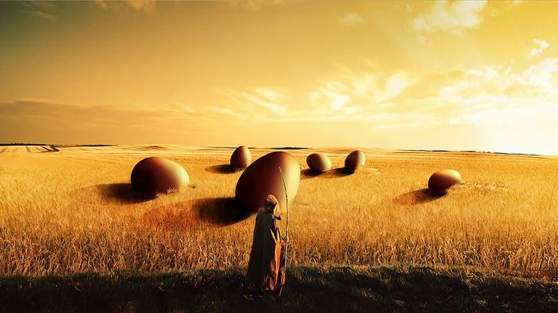 Успехphoto preview