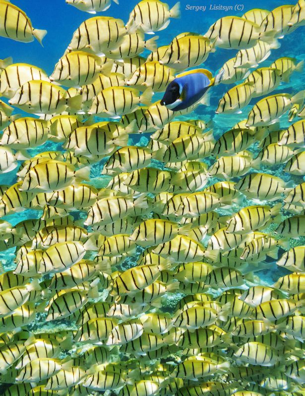 Совсем один.photo preview