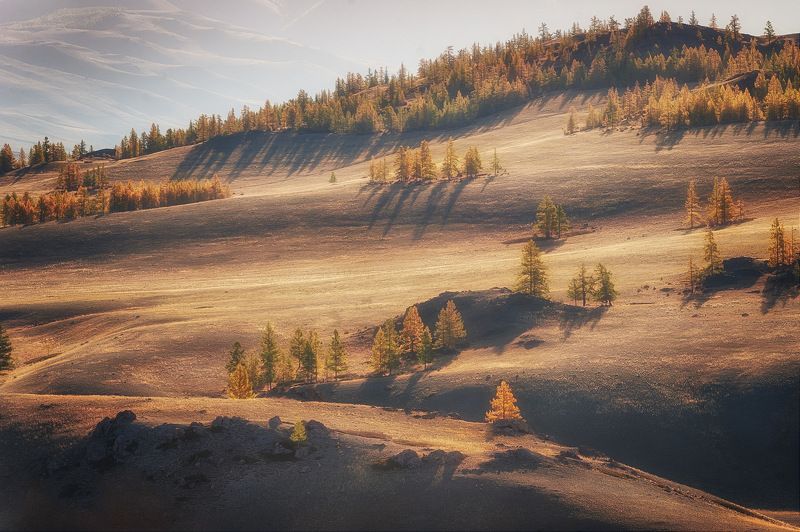 алтай курайская степь осень утро Утро в степиphoto preview