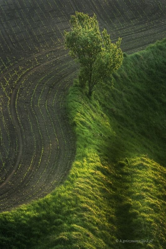 jing jang ;)photo preview