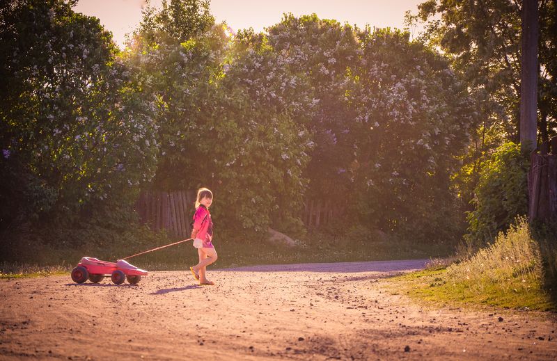 дети, ребенок, девочка, счастье, детство, исчезающий вид детства, счастливое детство, улица, село Исчезающий вид детства...photo preview