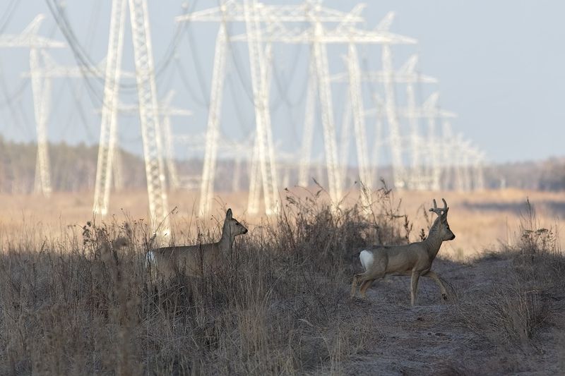 урбанизацияphoto preview