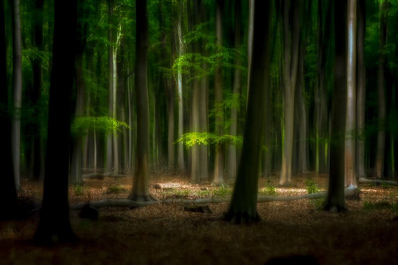 Сияние солнцаphoto preview