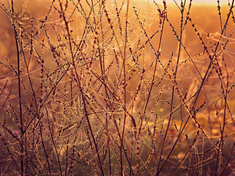 Photo, photo studio, photo travel, photo nature, woomen Texturephoto preview