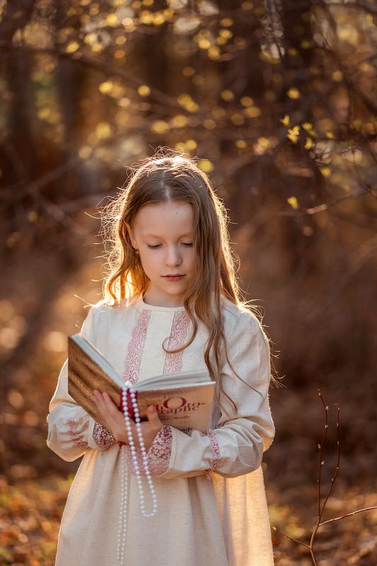 Закатные  читалочкиphoto preview