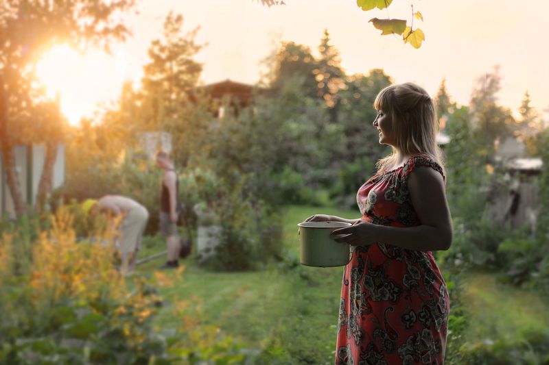 Летний вечерphoto preview