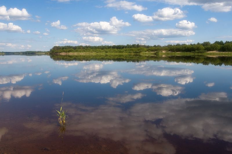 *********photo preview