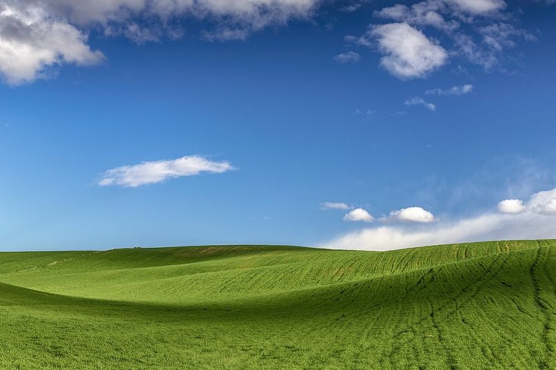 XP relodedphoto preview