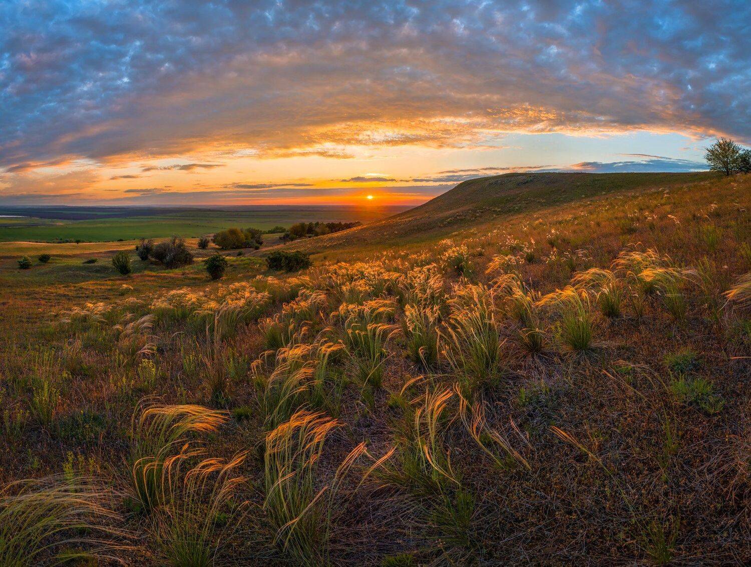 Ковыльный закат. Автор: Лашков Фёдор pentax645z, pentaxrussia, pentax, ставропольский край, путешествие, фотоальбом, ставрополье, ковыль, закат, степь, облака, весна, Лашков Фёдор