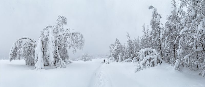 кавказ, домбай, зима, утро, снег, ущелье, горы Заснеженная долинаphoto preview