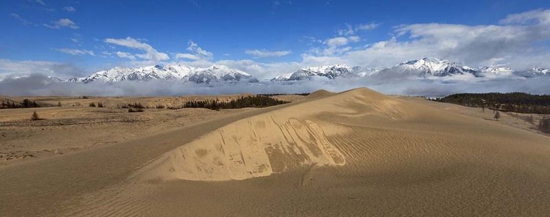 когда душа летает над песками ...photo preview