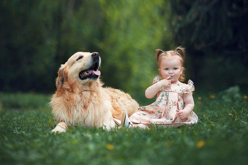 friendsphoto preview