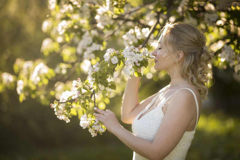 цветущая веснаphoto preview