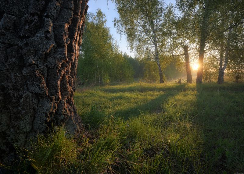 #пейзаж #весна #подмосковье #чехов #красиво #природа #восход #утро  / Утро в Подмосковье / photo preview