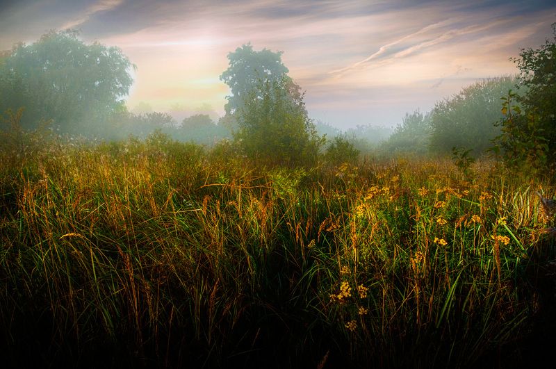 утро, туман, природа утроphoto preview