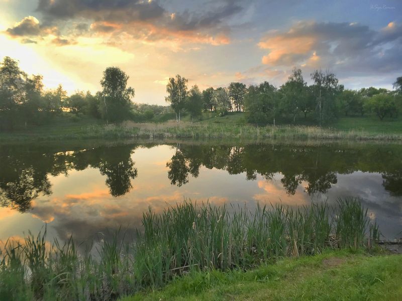 весна,май,закат,озеро,камыш Это май чародей ...photo preview