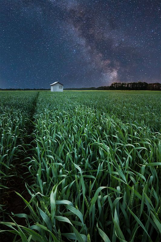 Oдин в ночиphoto preview