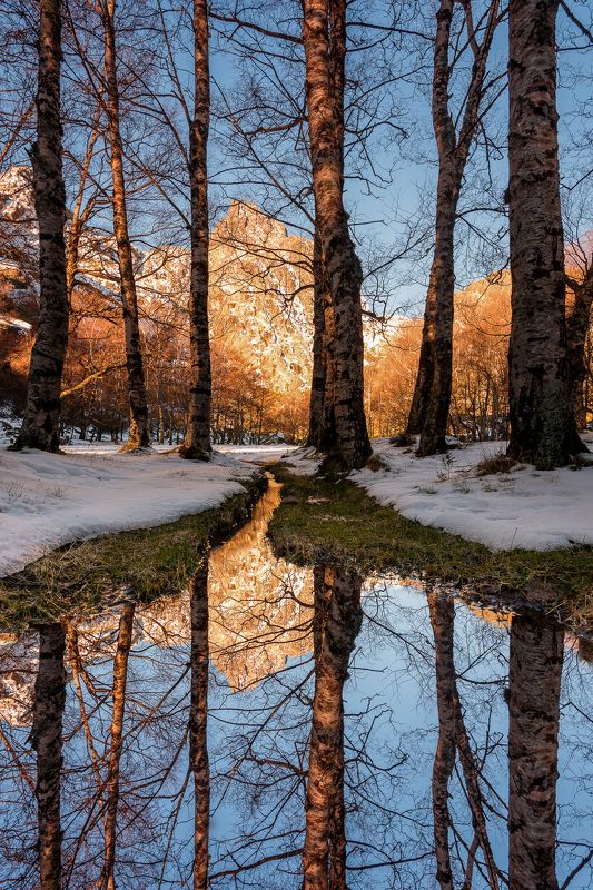 Hugo, Só, HugoSó, Nikon, D810, NikonD810, PNSE, Portugal, Europe, SerraDaEstrela, Estrela, Serra, Reflexes, Mirror The Magic Forestphoto preview