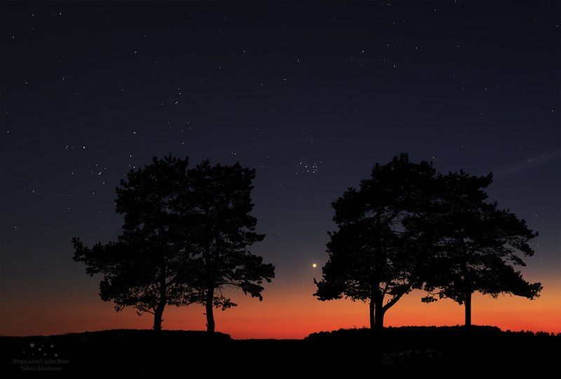 астрофото, ночь, звезды, Венера, Плеяды, закат, деревья, силуэты  Волшебное времяphoto preview