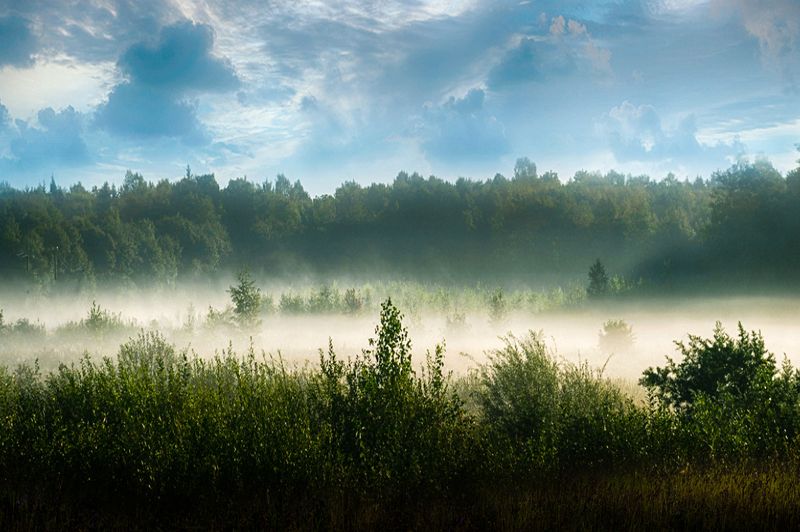 окраина окраинаphoto preview