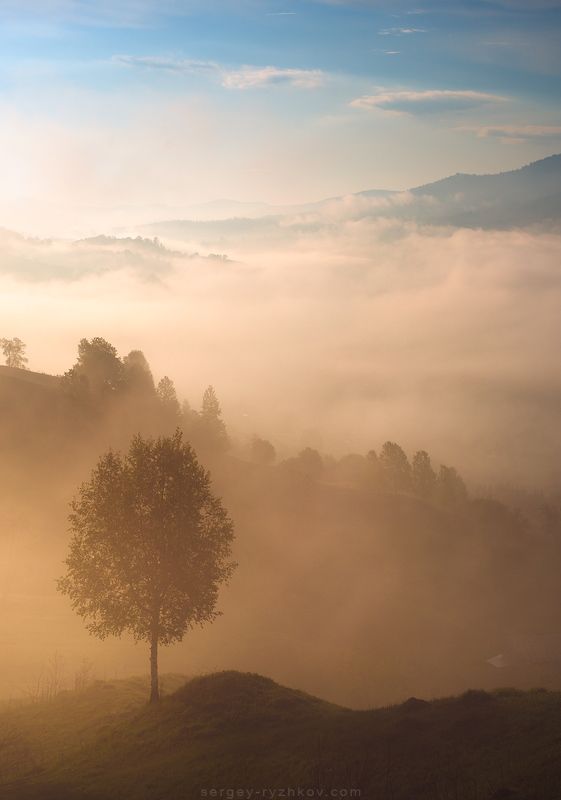 карпаты, горы, утро, туман, пейзаж, природа, украина, nature, carpathians, ukraine, landscape, ***photo preview