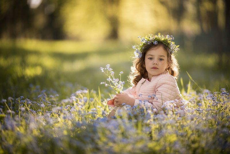 в незабудкахphoto preview