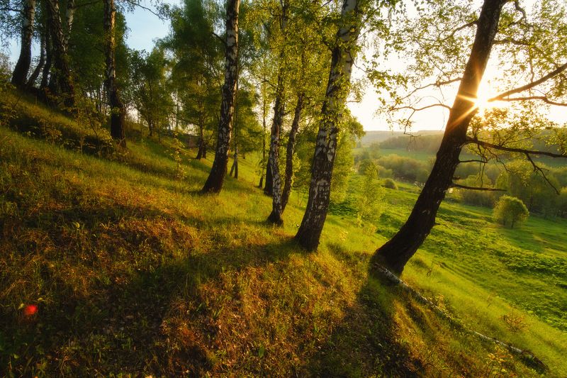 россия, московская область, зарайск, река, восход солнца, рассвет, луг, лес, весна, камни, пейзаж, природада Березовая рощаphoto preview