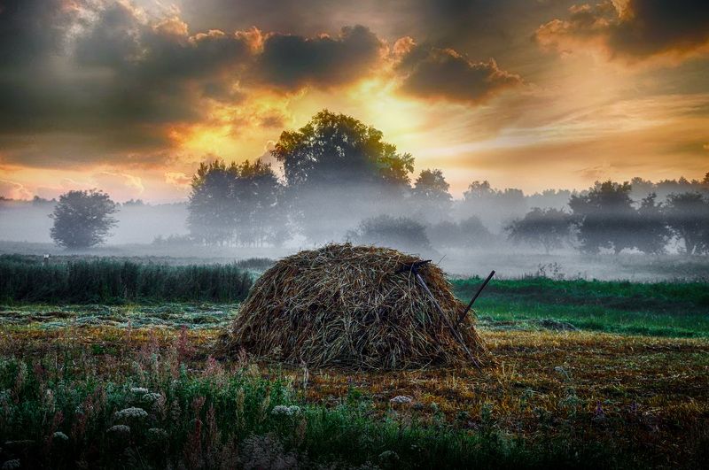 утро, туман, деревня, природа Раннее утроphoto preview