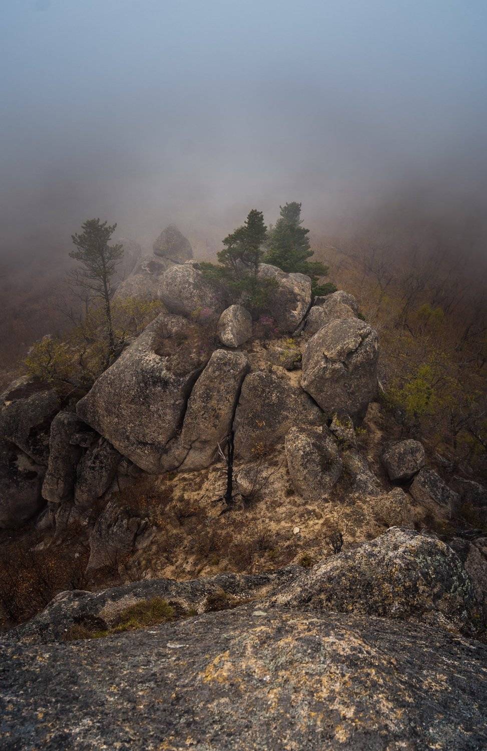 В объятиях тумана. Автор: Романенко Денис , Романенко Денис