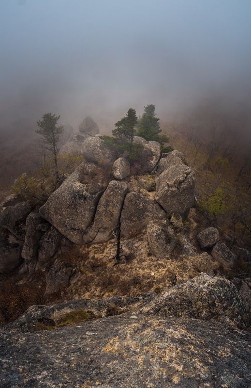 В объятиях туманаphoto preview