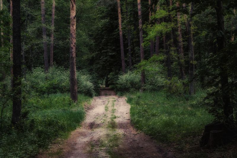 дорога не тудаphoto preview