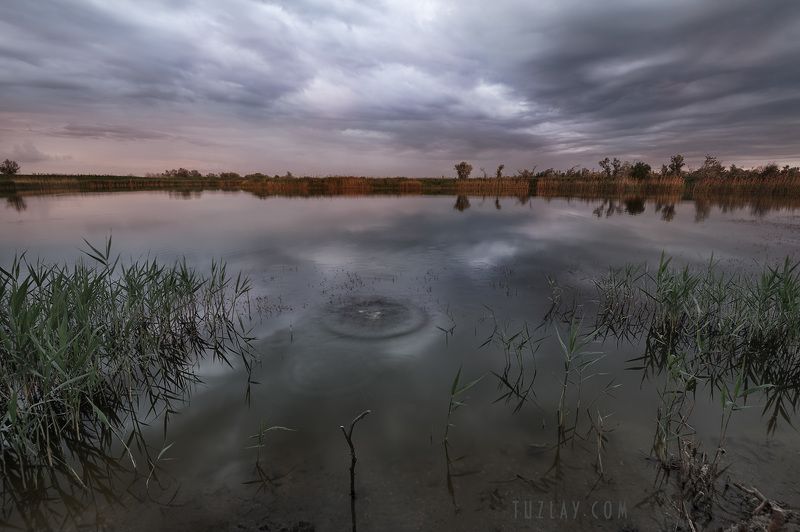 темрюк, таманский полуостров, таманская рыбалка А рыбаки так и не пришли... фото превью