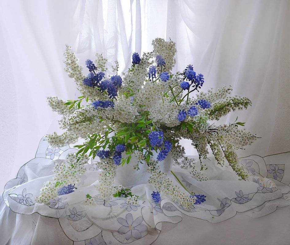 still life,натюрморт, весна, май, спирея, мускари, фото натюрморт, цветы, настроение, Колова Валентина