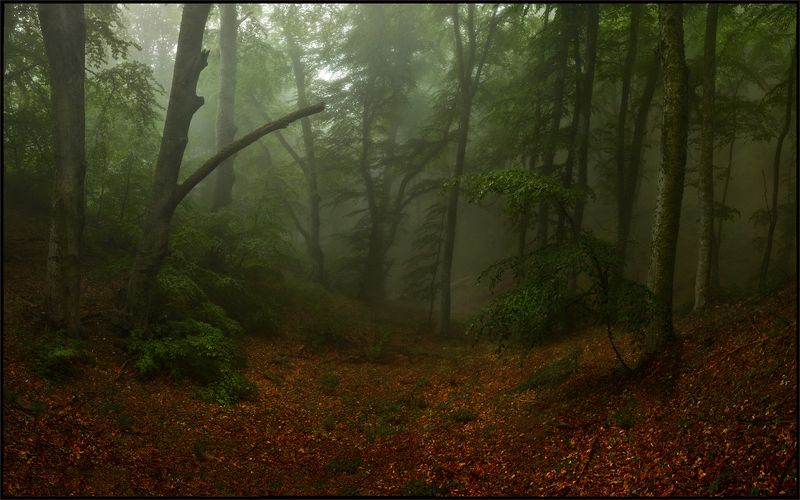 Май в Крымуphoto preview