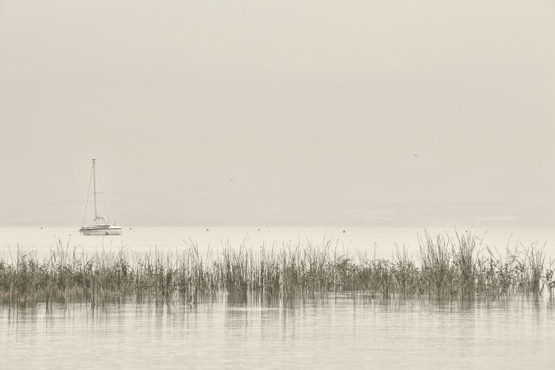 kineret, israel, lake, landscape, scenery, scenic, yellow, vibrant, voyage, seascape, travel, twilight, tourism, surf, vibrant, shore, shoreline, tide, longexposure, beautiful, beach, blue, north, mirror, Озеро Кинерет. Израильphoto preview