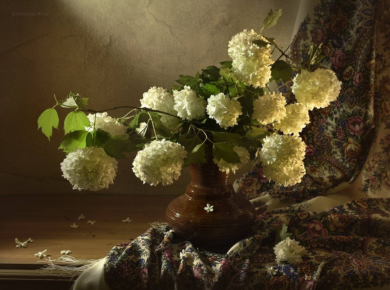 , Шипунова Ирина