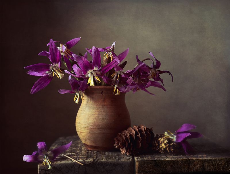 Таежные цветыphoto preview