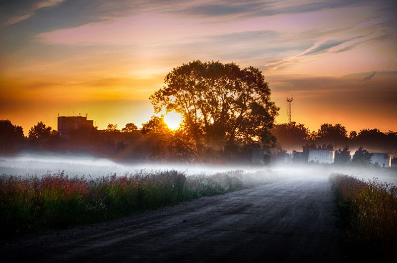 пригород, туман, утро Пригородphoto preview