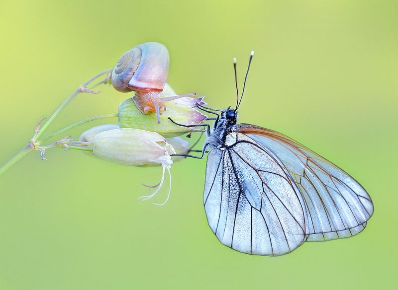 Неожиданная встреча.photo preview