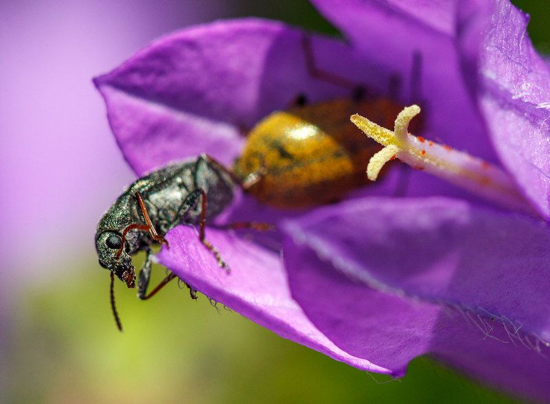 Возле дома своегоphoto preview