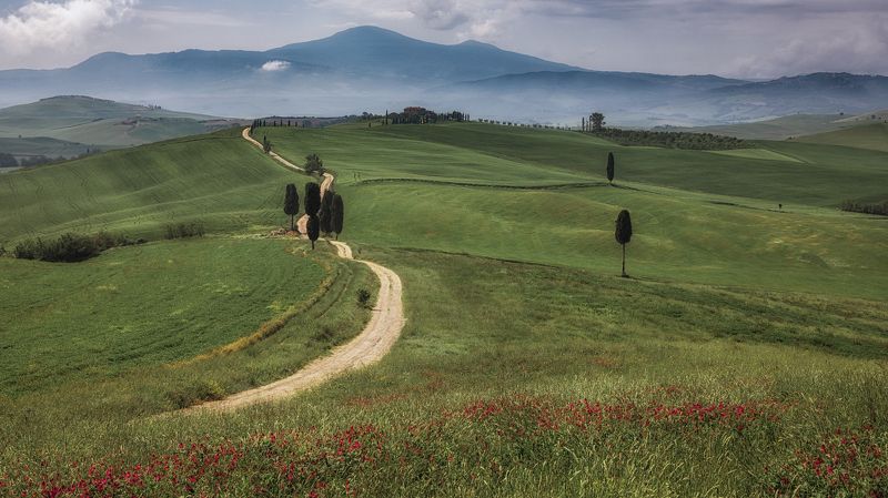 тоскана, дорога Дорога гладиатораphoto preview