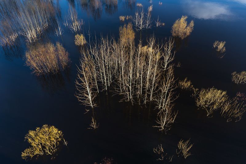 Половодье на р. Сысола в Сыктывкаре.photo preview