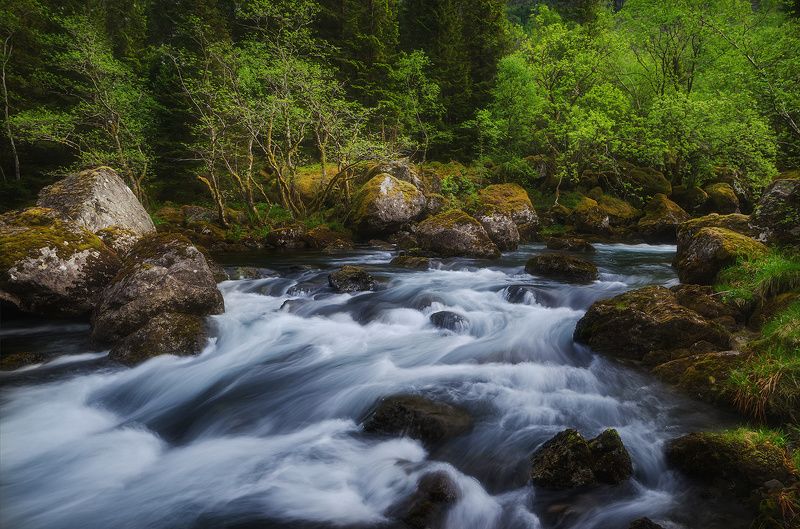 Bondhuselvaphoto preview