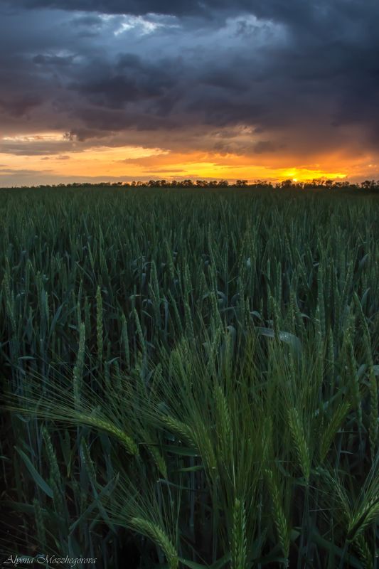 Родные просторы...photo preview