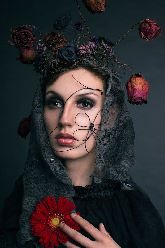 The last knightphoto preview