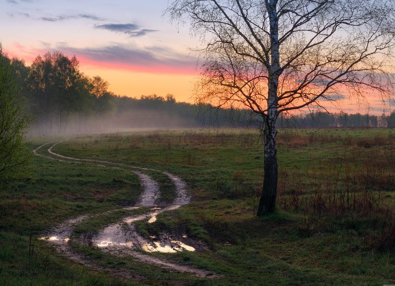 #пейзаж #весна #подмосковье #чехов #красиво #природа #восход #утро  / Утро В Подмосковье /photo preview