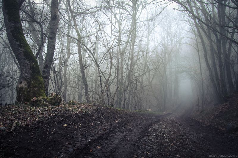 крым, горы, лес, туман, глубоко в горахphoto preview