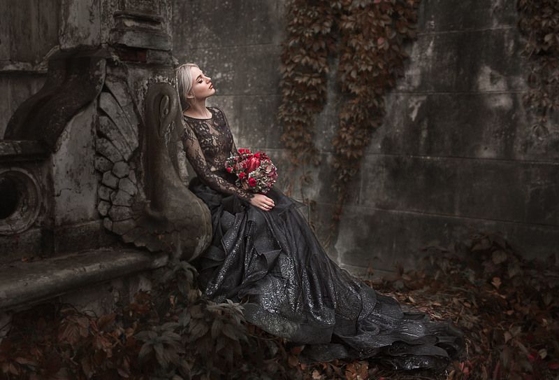 Black Swanphoto preview